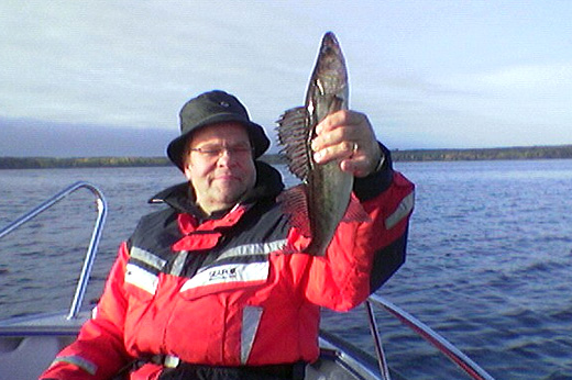 Catch a pike perch on boat fishing